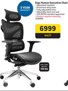 Ergo Human Executive Chair-Each