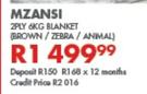 Mzansi 2 Ply 6Kg Blanket (Brown/Zebra/Animal)