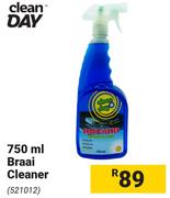 Clean Day  Braai Cleaner 521012
