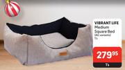 Vibrant Life Medium Square Bed (All Variants)-Each