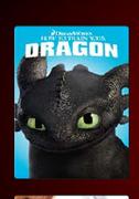 How To Train Your Dragon DVD Movie-For 2