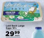 Laid Back Large Eggs-18's Each