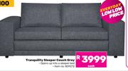 Tranquility Sleeper Couch (Grey)