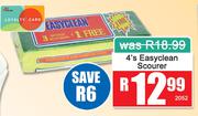 Easy Clean Scourer-4's