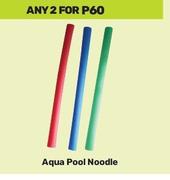 Aqua Pool Noodle-For 2