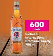 Richelieu International Premium Brandy-750ml Each