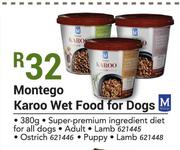 Montego Karoo Wet Food For Dogs-380g