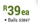 Bird Grub Suet For Wild Birds (Balls)-Each