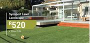 Synsport Lawn Landscape 20mm-P/M