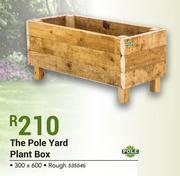 The Pole Yard Plant Rough Box 300 x 600