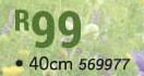 Idel Garden Bowl Elba 40cm