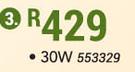 Ellies 30W LED Day/Night Floodlight