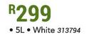 Dulux Rockgrip Plaster Primer White-5Ltr