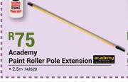 Academy Paint Roller Pole Extension 2.5m