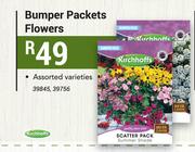 Kirchoffs Bumper Packets Flowers