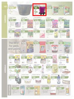 Agrimark : Festive Summer Deals (21 Nov - 24 Dec 2018), page 4