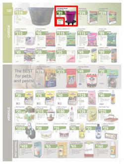 Agrimark : Festive Summer Deals (21 Nov - 24 Dec 2018), page 4