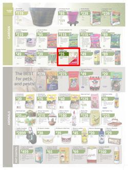 Agrimark : Festive Summer Deals (21 Nov - 24 Dec 2018), page 4