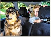Toyota Bucket Seats Double Cab