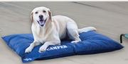 Wagworld K9 Camper Dog Bed Huge