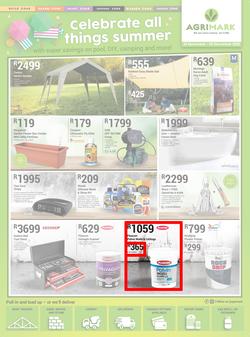 Agrimark : Celebrate All Things Summer (25 November - 24 December 2020), page 1