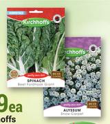 Kirchhoffs Seeds-Each