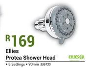 Ellies Protea Shower 