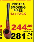 Protea Smoking Pipes 12 x Pack