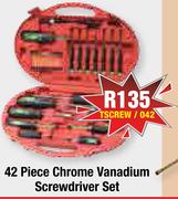 42 Piece Chrome Vanadium Screwdriver Set TSCREW/042