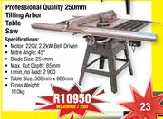Professional Quality 250mm Tilting Arbor Table Saw WSAWHD/250