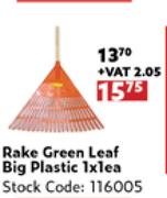 Rake Green Leaf Big Plastic-1 x 1 Each