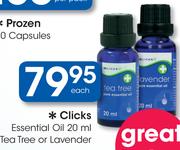Clicks Essential Oil Tea Tree Or Lavender-20ml Each
