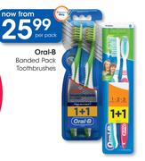 Oral-B Banded Pack Toothbrushes-Per Pack