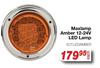 Maxlamp Amber 12-24V LED Lamp ECT.LEDAMBER