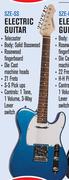 Sanchez Electric Guitar SZE-SS