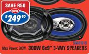 300W 6x9" 3-Way Speakers DN6101B