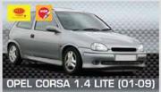 Opel Corsa 1.4 Lite (01-09) GUD.E67 Fuel Filter