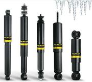 Monroe Shocks Rear For VW Polo 2003- MNR.GT1003