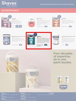 Shaves Paint & Decor : Best Products, Best Prices (19 October - 19 November 2022), page 2
