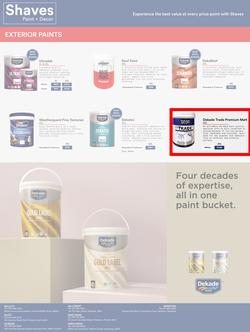 Shaves Paint & Decor : Best Products, Best Prices (19 October - 19 November 2022), page 2