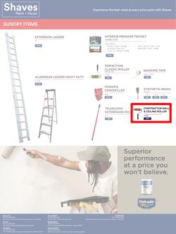 Shaves Paint & Decor : Best Products, Best Prices (19 October - 19 November 2022), page 4