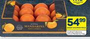 Crafted Collection Citrus Mandarins Tray