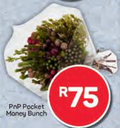 PnP Pocket Money Bunch