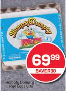 Humpty Dumpty Large Eggs-30s
