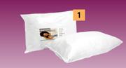 Sleepmasters SMAS 2 Pack Hollowfiber Pillows