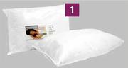 2 Pack Hollow Fiber Pillows