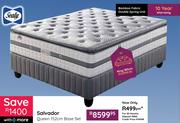 Sealy Salvador King 183cm Base Set