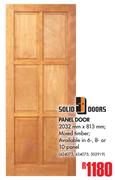 Solid Doors Panel Door