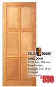 Solid Doors Panel Door