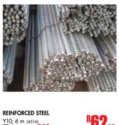 Reinforced Steel Y10-6m Each